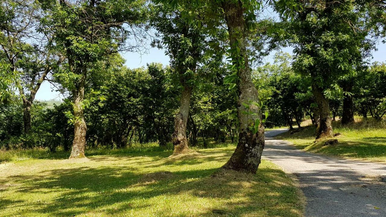 Вілла Agriturismo Ricciardelli Contrada  Екстер'єр фото